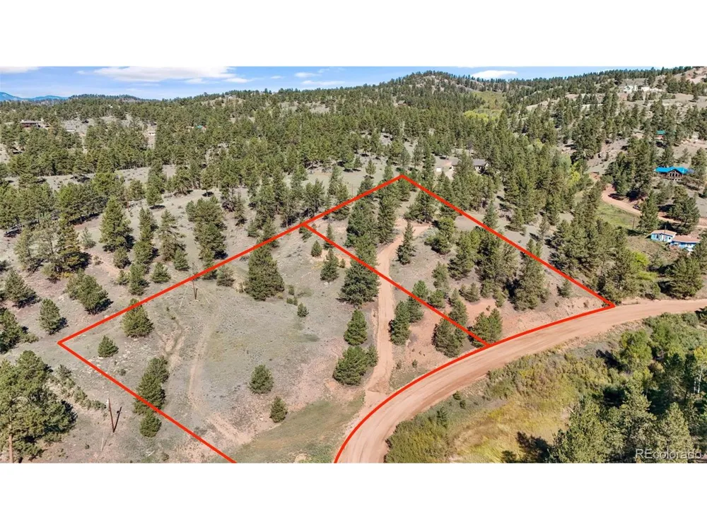 163 Valley View Drive Florissant, CO 80816