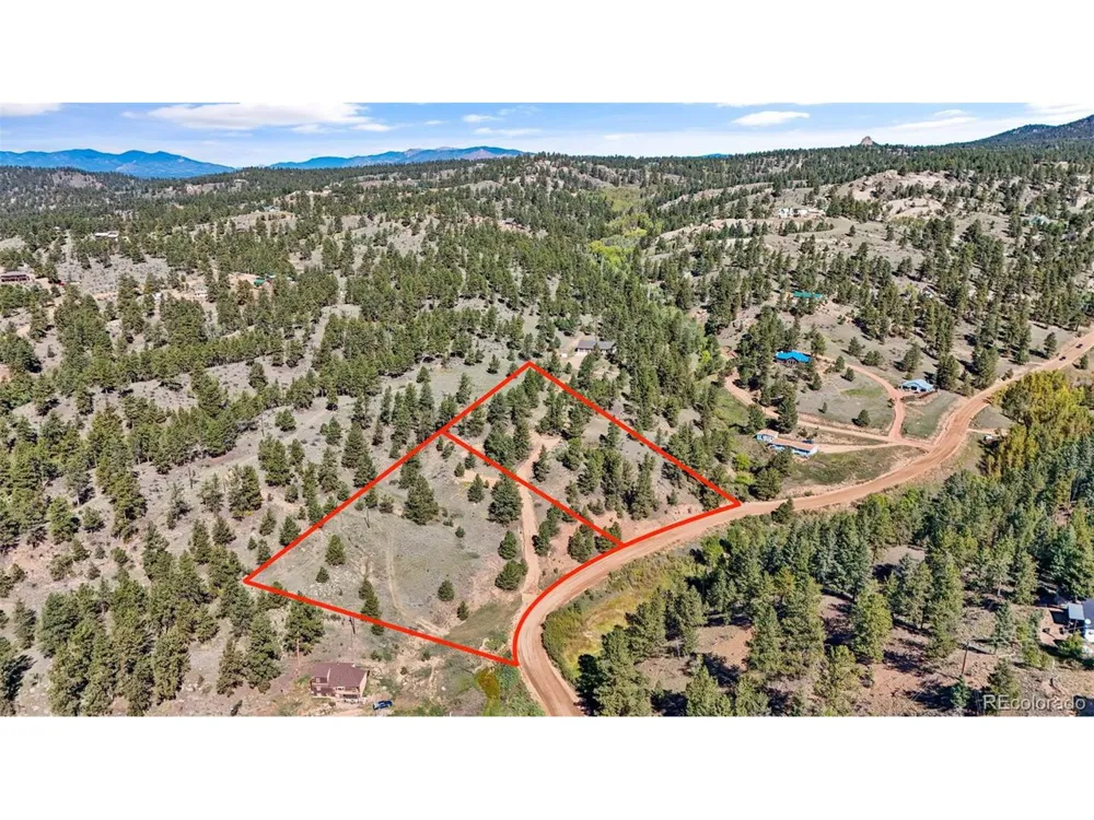 163 Valley View Drive Florissant, CO 80816