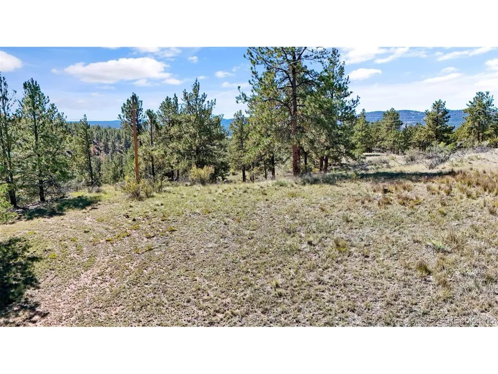 163 Valley View Drive Florissant, CO 80816