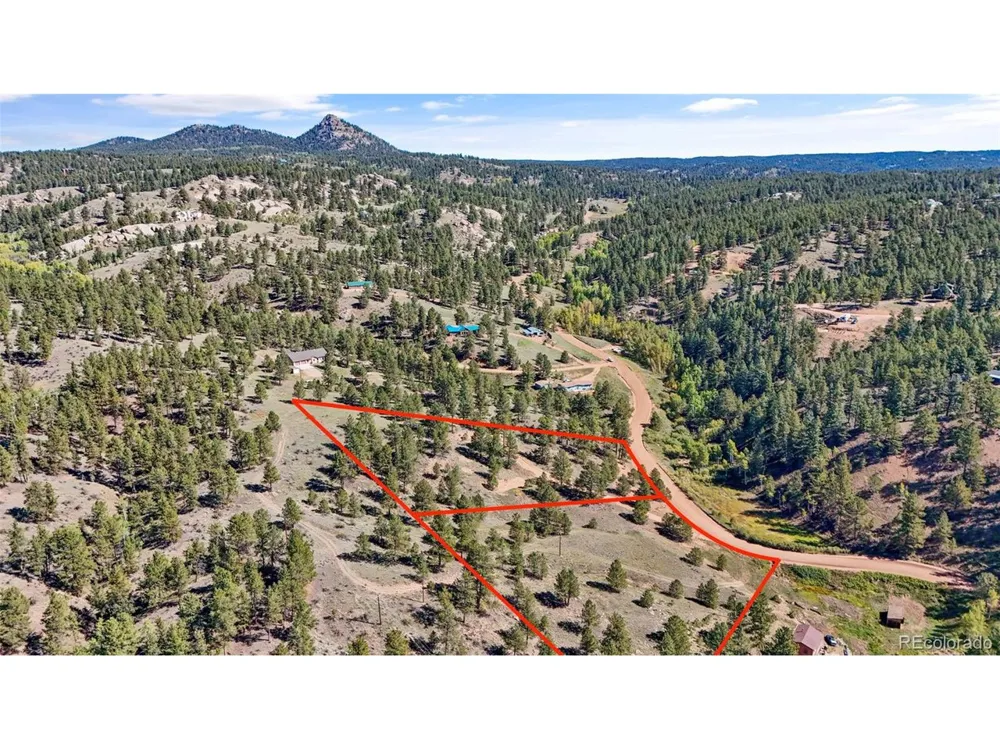 163 Valley View Drive Florissant, CO 80816