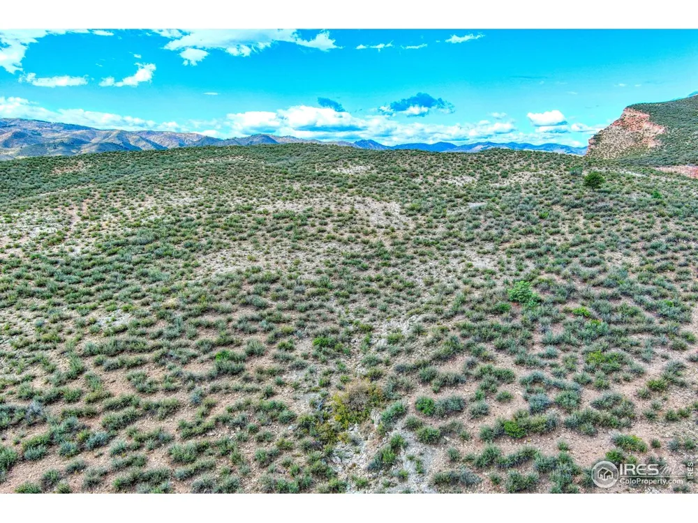 3501 Raptor Ridge Lane Laporte, CO 80535