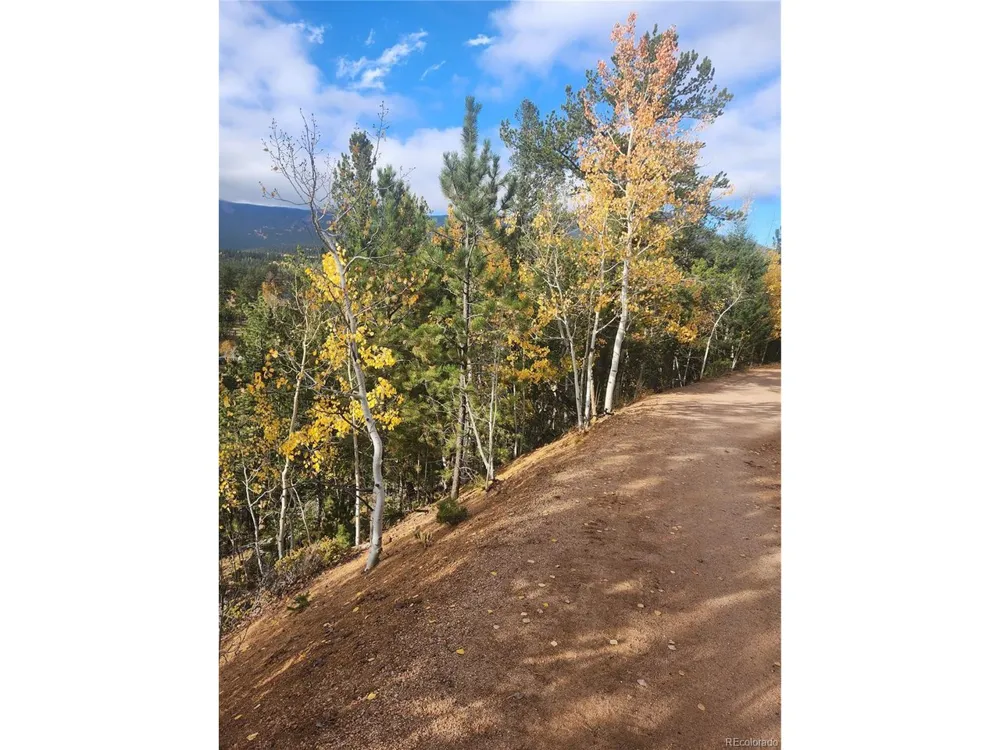 72 Hall Road Bailey, CO 80421