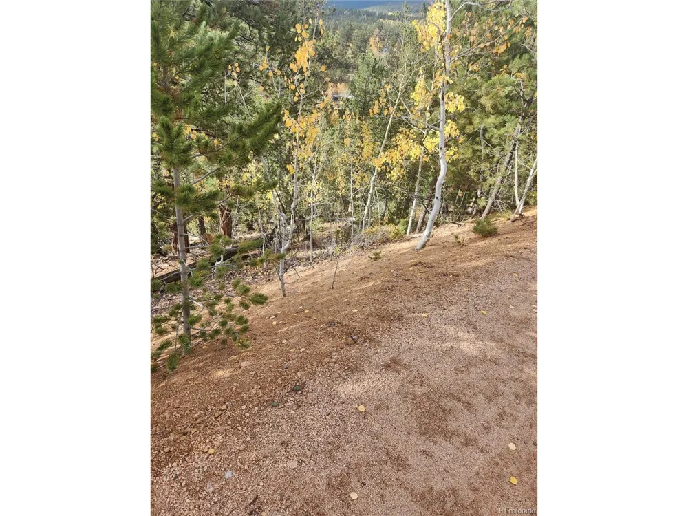 72 Hall Road Bailey, CO 80421