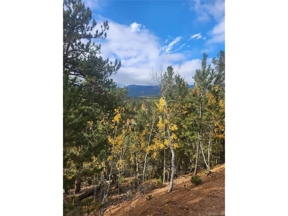 72 Hall Road Bailey, CO 80421