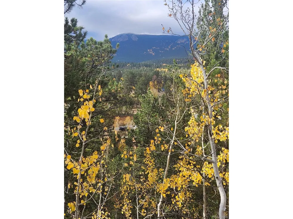 72 Hall Road Bailey, CO 80421