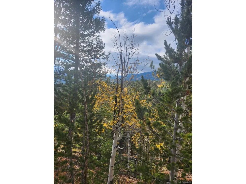 72 Hall Road Bailey, CO 80421