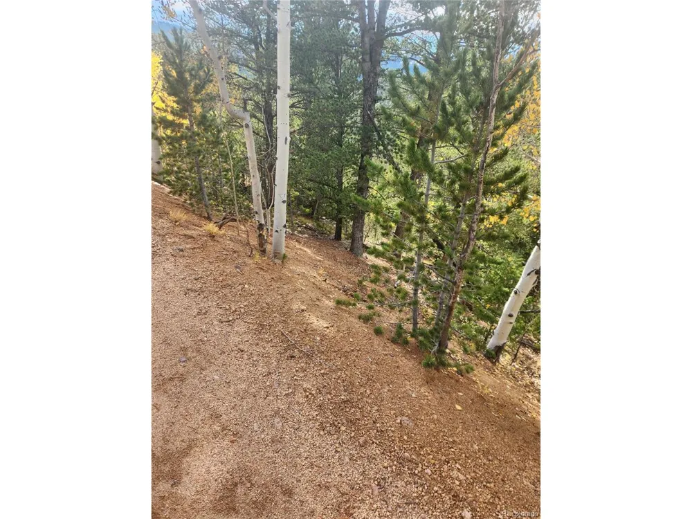 72 Hall Road Bailey, CO 80421