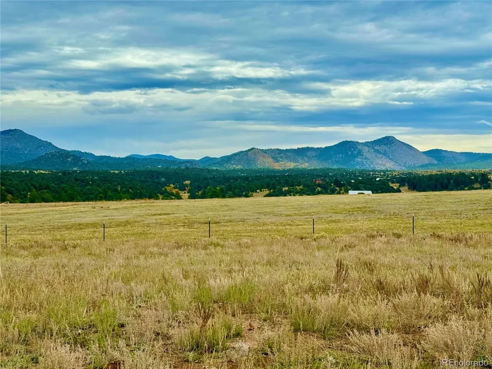 119 Fawn Street Westcliffe, CO 81252