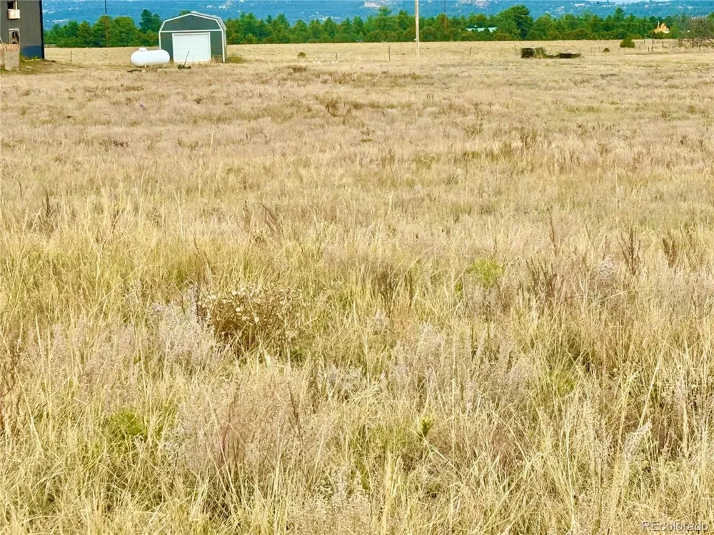 119 Fawn Street Westcliffe, CO 81252
