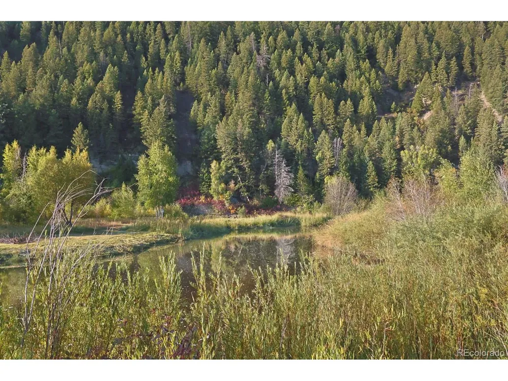 23385 Yampakita Lane Steamboat Springs, CO 80487