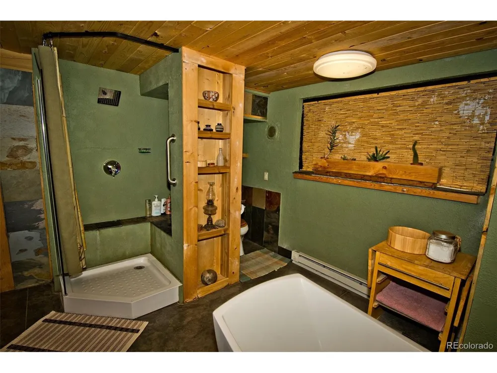 5 Baca Grant Way Crestone, CO 81131