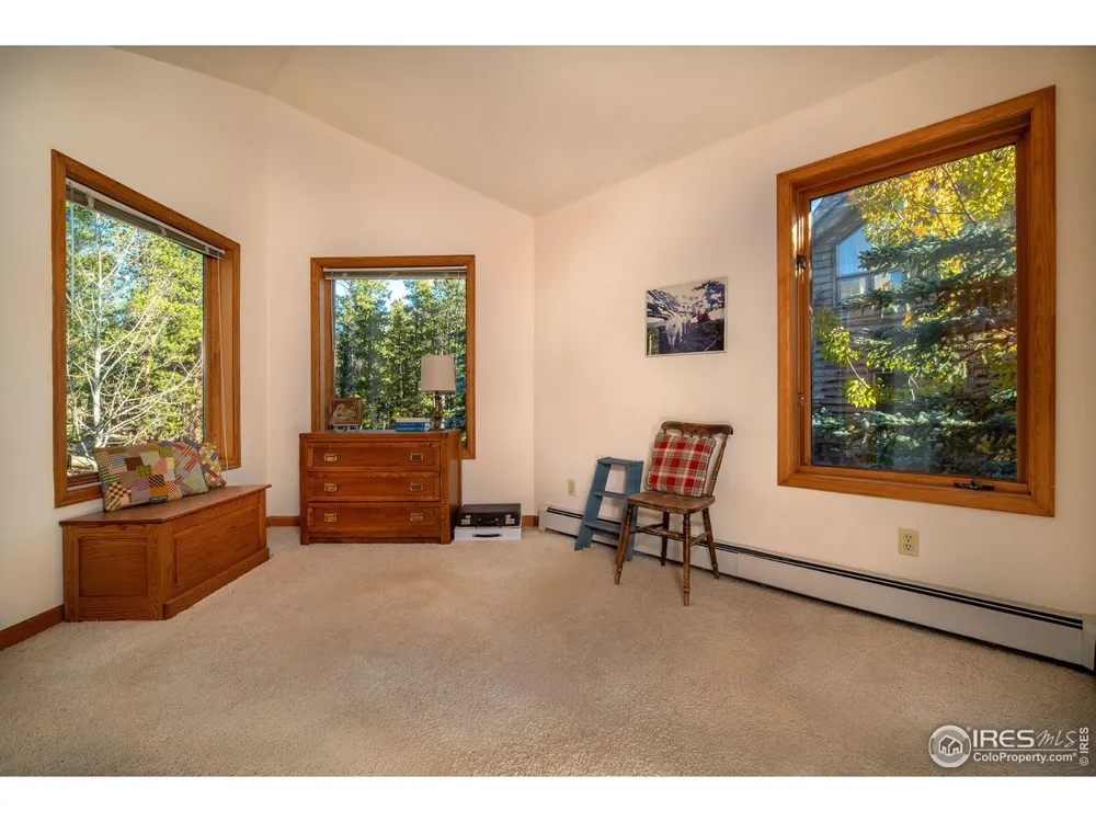 1997 Big Owl Road Allenspark, CO 80510