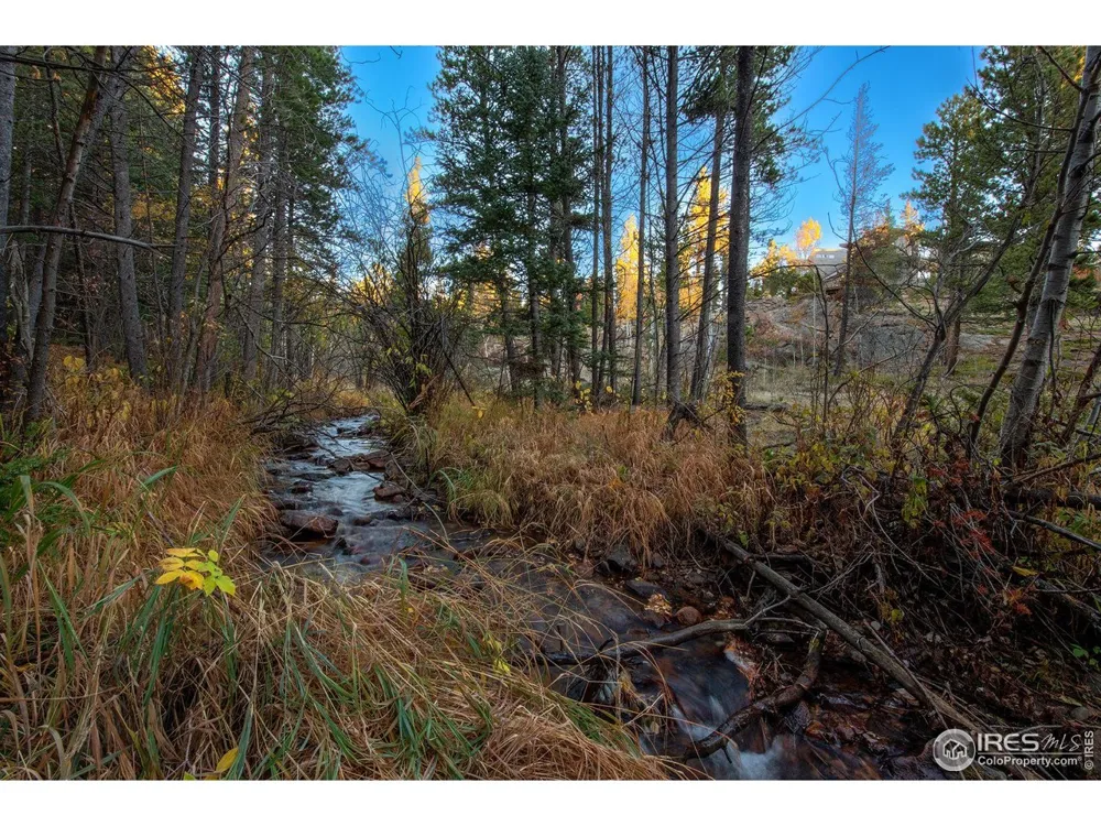 1997 Big Owl Road Allenspark, CO 80510