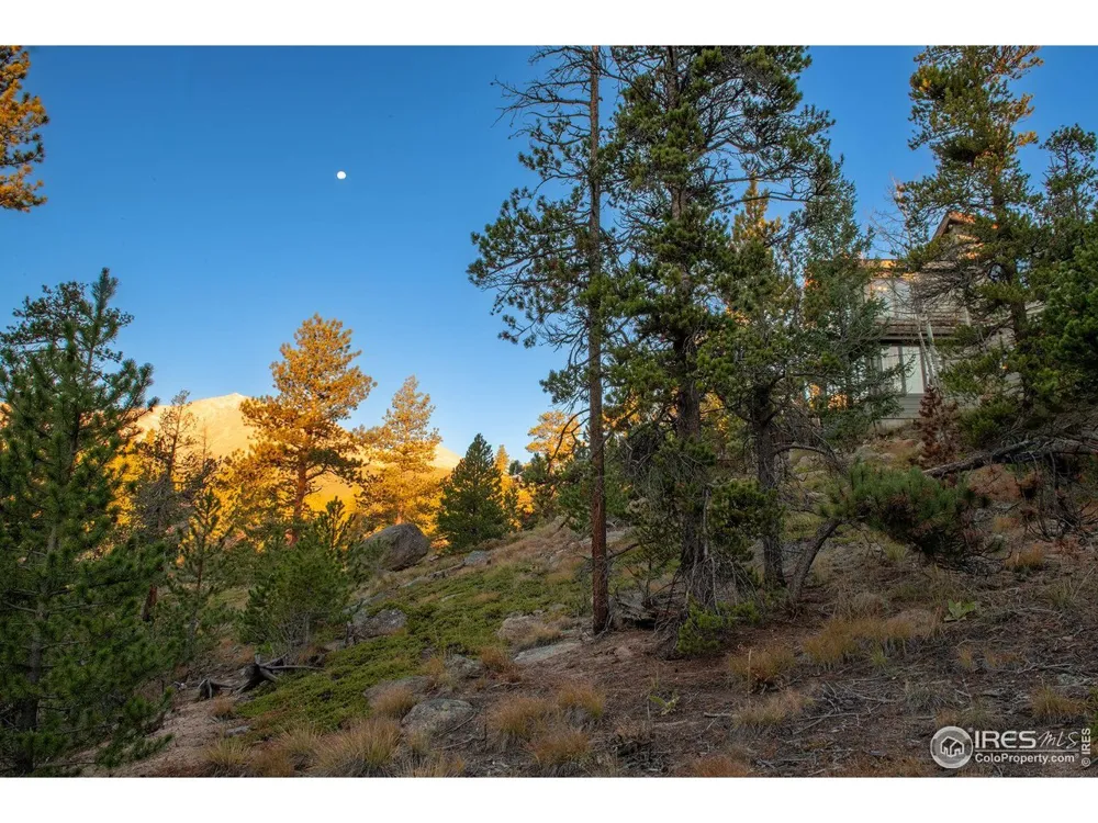 1997 Big Owl Road Allenspark, CO 80510