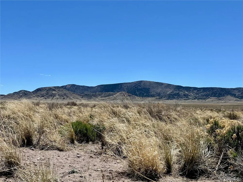 0 Hwy 142 Manassa, CO 81141
