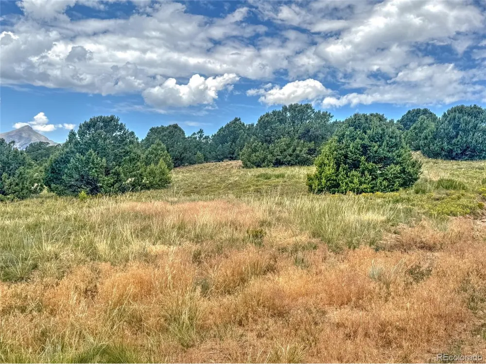 21 Kiowa Road Westcliffe, CO 81252