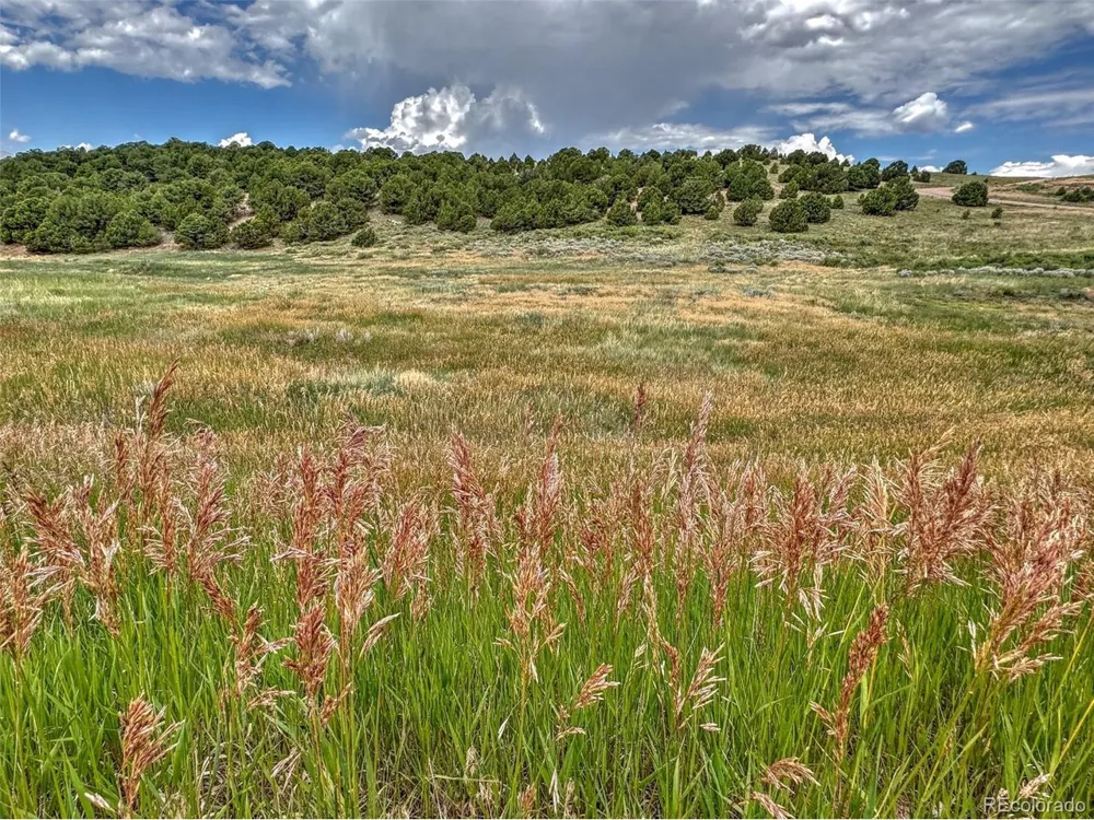 21 Kiowa Road Westcliffe, CO 81252