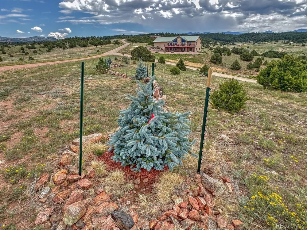 21 Kiowa Road Westcliffe, CO 81252