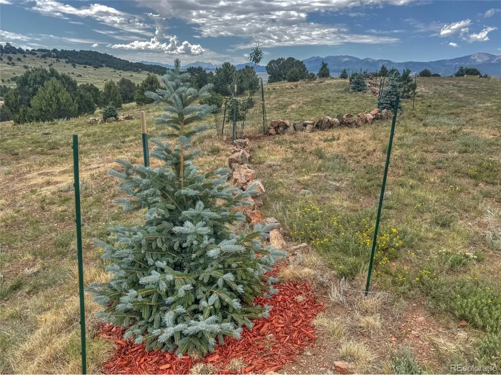 21 Kiowa Road Westcliffe, CO 81252
