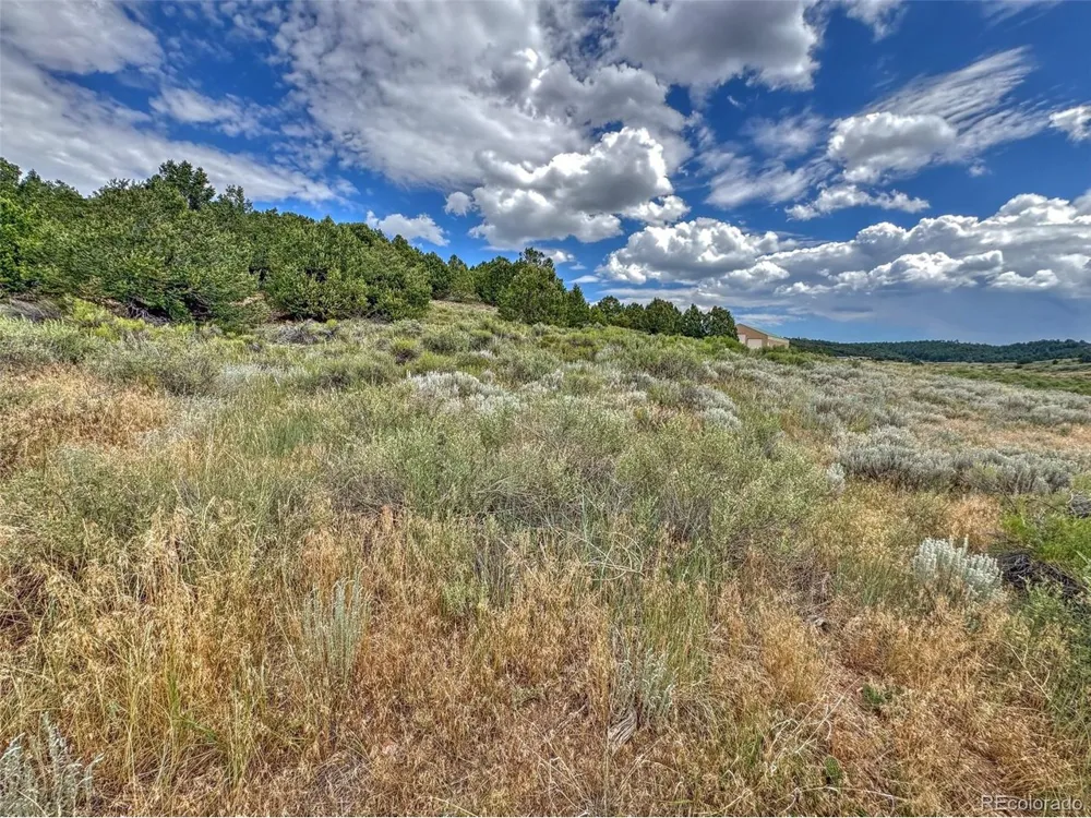 21 Kiowa Road Westcliffe, CO 81252