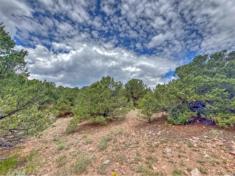 21 Kiowa Road Westcliffe, CO 81252