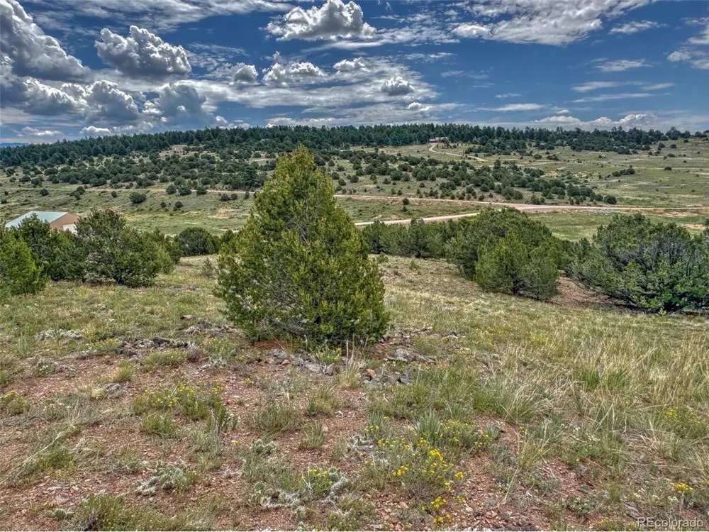 21 Kiowa Road Westcliffe, CO 81252