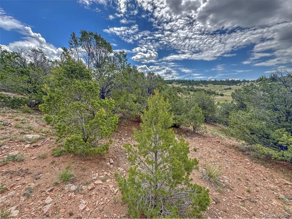 21 Kiowa Road Westcliffe, CO 81252