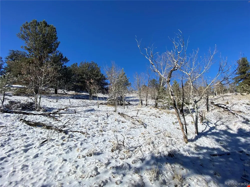 157 Crow Court Como, CO 80432
