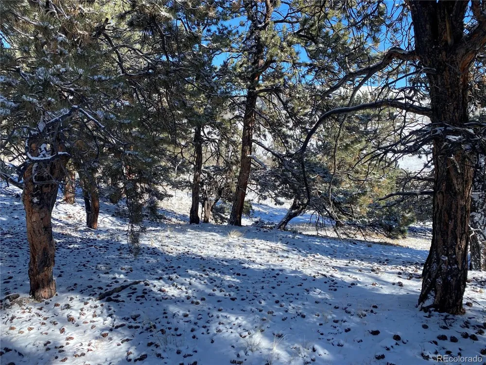 157 Crow Court Como, CO 80432