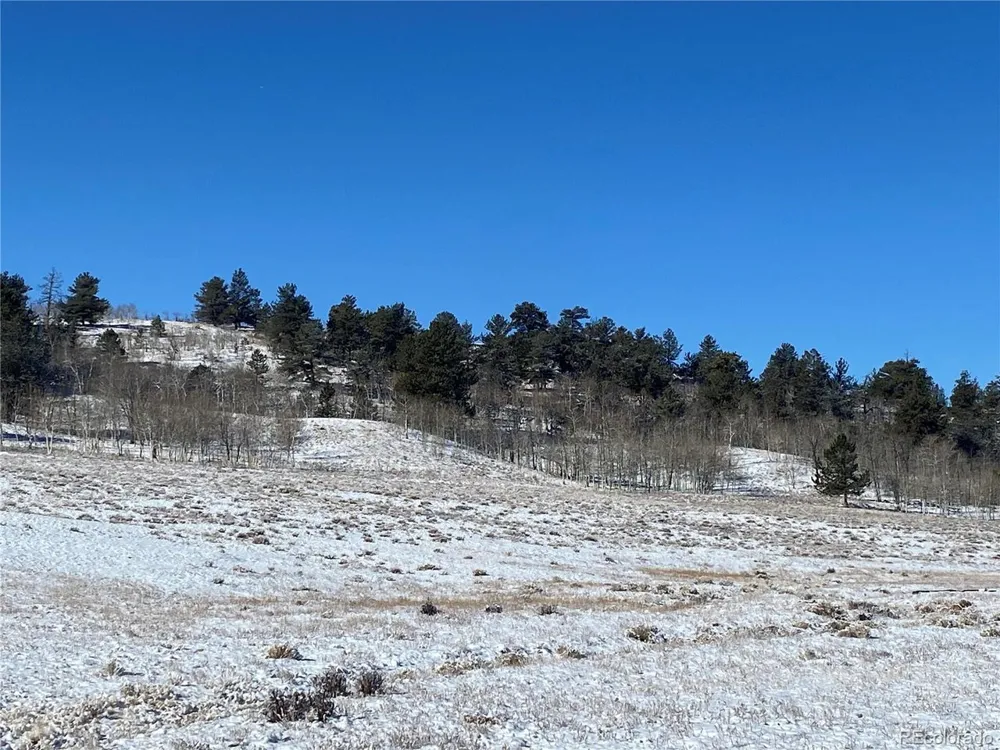 157 Crow Court Como, CO 80432