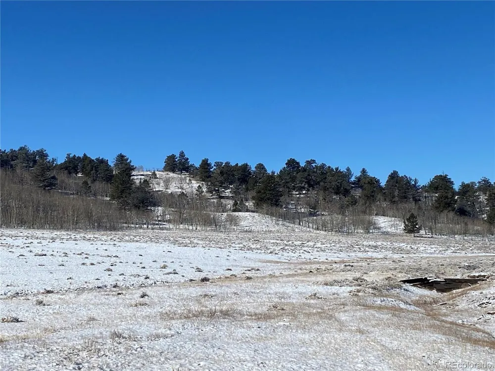 157 Crow Court Como, CO 80432
