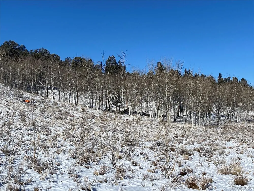 157 Crow Court Como, CO 80432