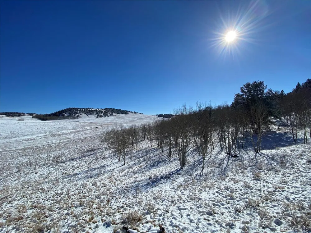 157 Crow Court Como, CO 80432