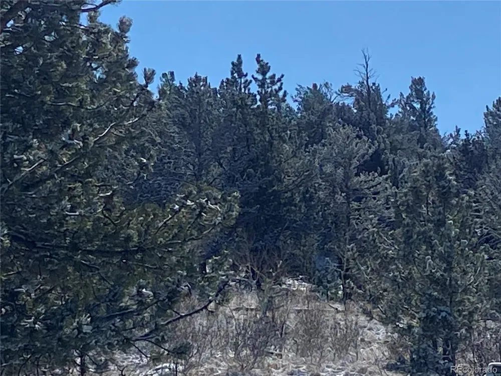157 Crow Court Como, CO 80432