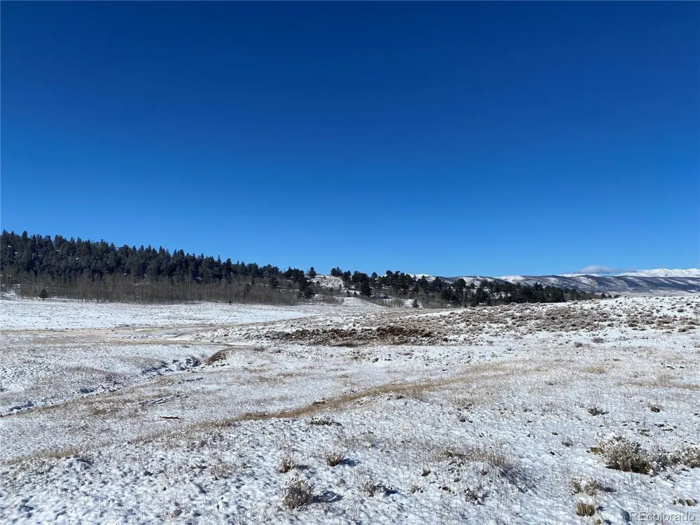 157 Crow Court Como, CO 80432