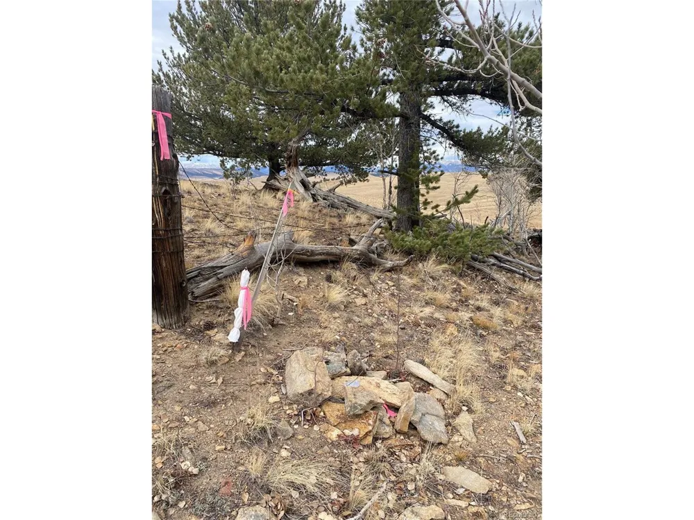 157 Crow Court Como, CO 80432