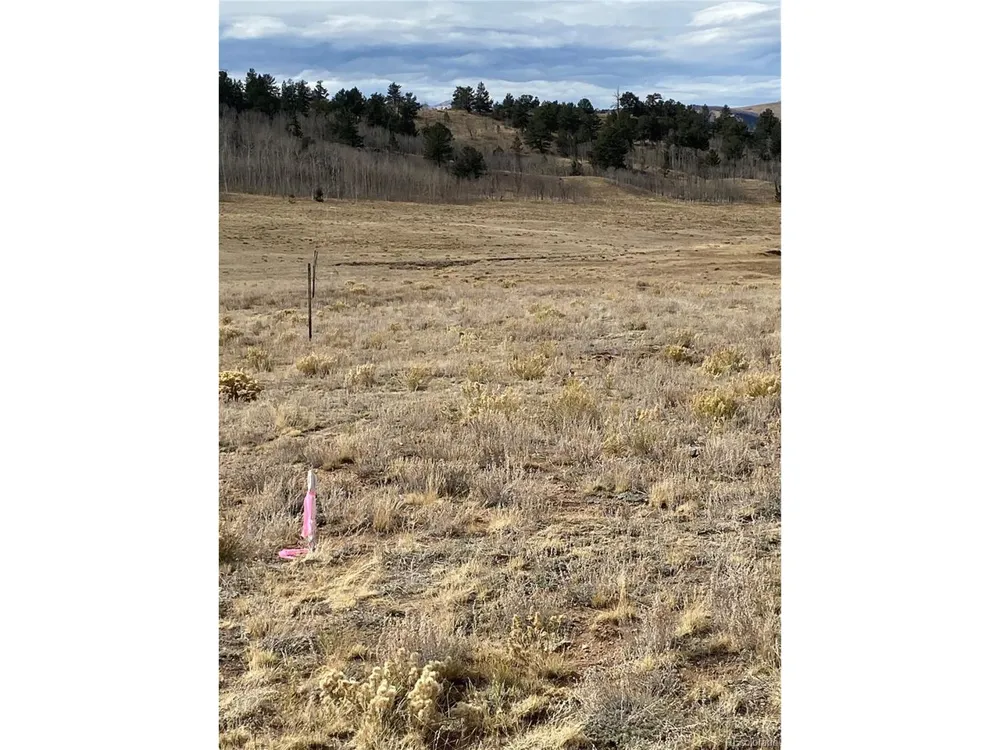 157 Crow Court Como, CO 80432