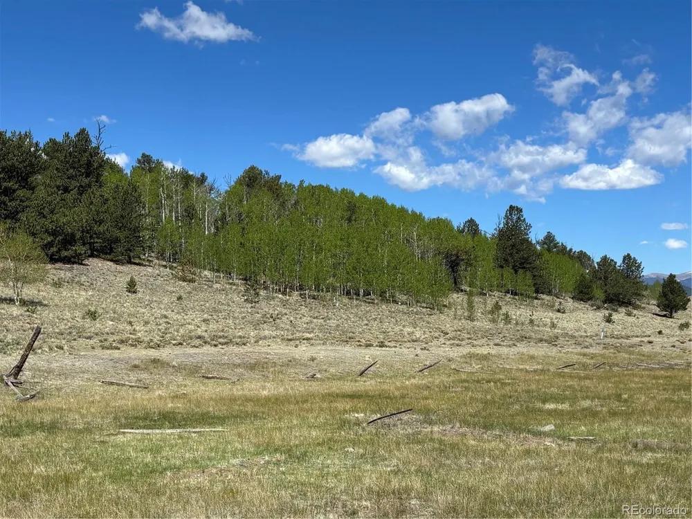 157 Crow Court Como, CO 80432