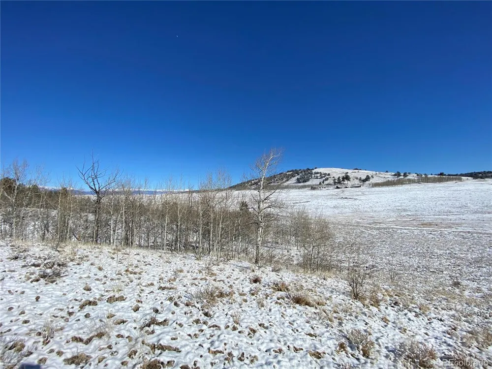 157 Crow Court Como, CO 80432