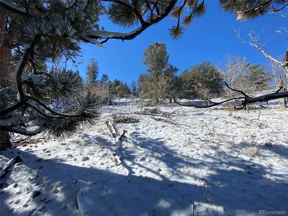 157 Crow Court Como, CO 80432