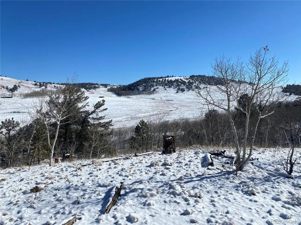 157 Crow Court Como, CO 80432