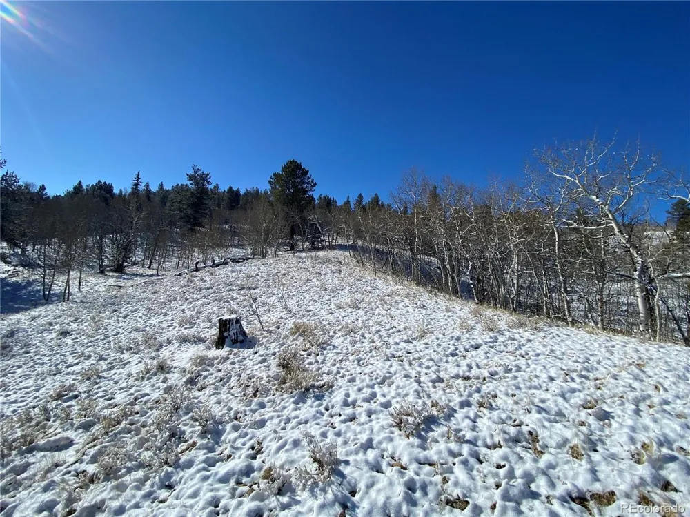 157 Crow Court Como, CO 80432