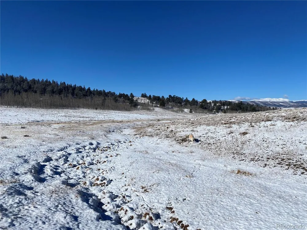 157 Crow Court Como, CO 80432
