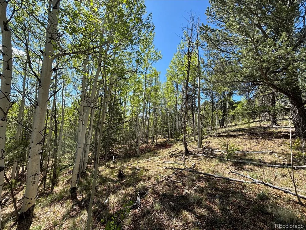 157 Crow Court Como, CO 80432