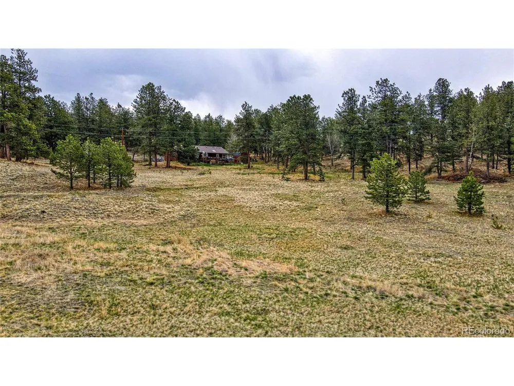 188 High Pasture Road Florissant, CO 80816