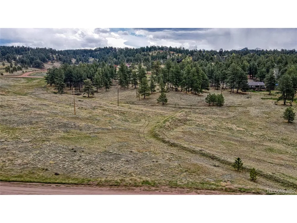 188 High Pasture Road Florissant, CO 80816
