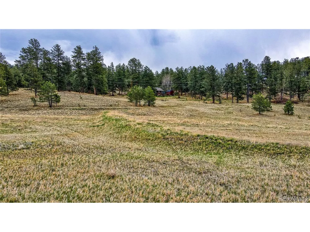 188 High Pasture Road Florissant, CO 80816