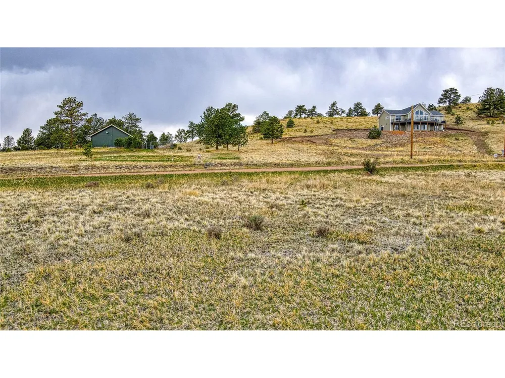 188 High Pasture Road Florissant, CO 80816