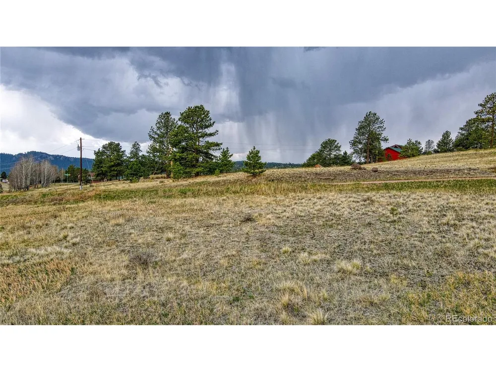 188 High Pasture Road Florissant, CO 80816