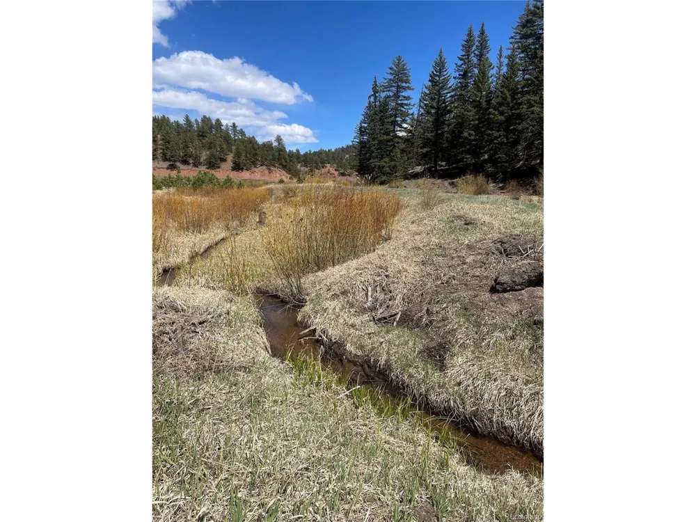 Address Not Shown Florissant, CO 80816